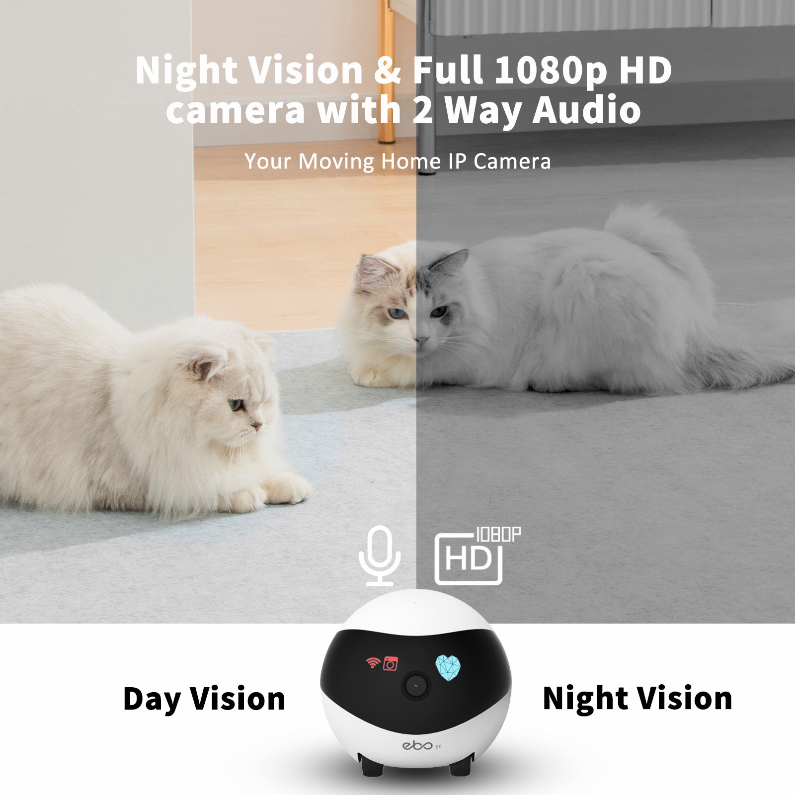 EBO SE Inteligentny Robot Domo – Home Security Robots recenzja i cena