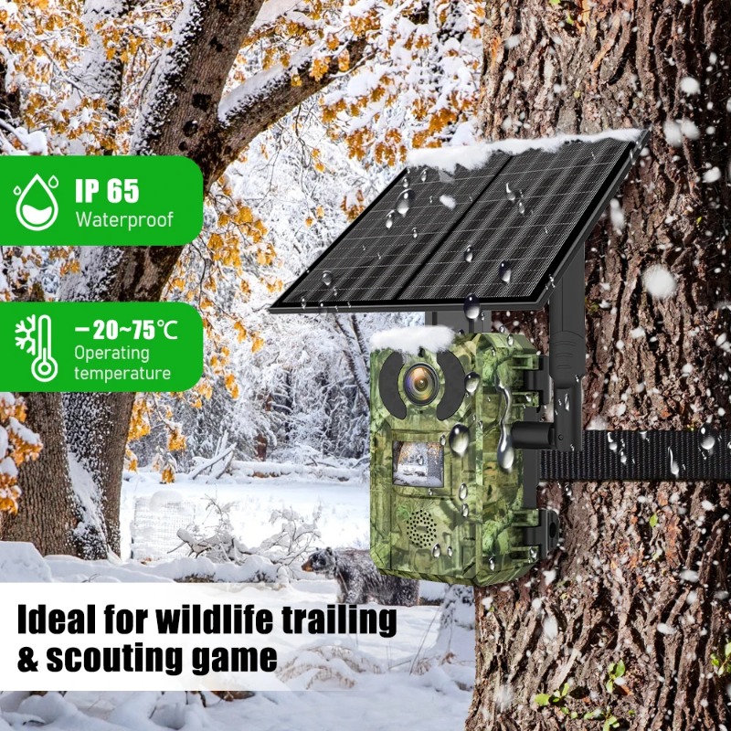 Kamera leśna 4G z kartą SIM, s – Home Security Game recenzja i cena